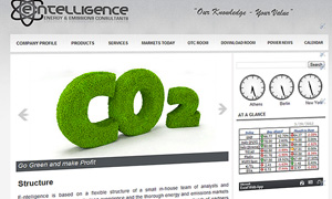 Web Design for E-ntelligence Consultants