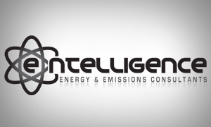 Graphic Design for E-ntelligence Consultants