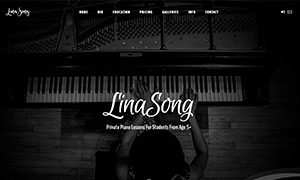 Website Designer for Music Artist and Teacher